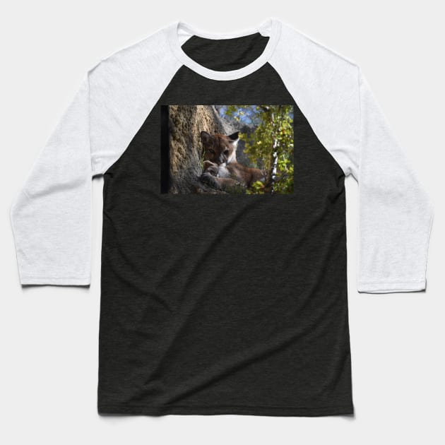 Mountain Lion Baseball T-Shirt by Sharonzoolady